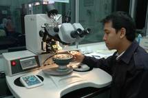 تمويل 27 مشروعا بحثيا تكنولوجيا بين مصر وأمريكا بتكلفة 4 ملايين دولار