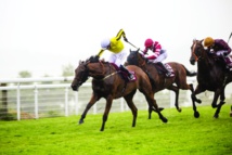  ريكاردو الفارس البرازيلي الذي ربح أكثر من 12000 سباق خيل