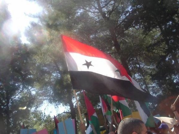 تشير المصادر  الى أن العلم السوري تغير عدة مرات خلال القرن العشرين، إلا أن ألوانه لم تتغير