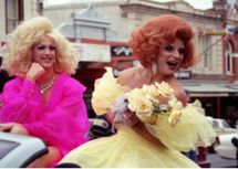 سكان فيينا يجلبون مهرجانات الريف إلى المدينة