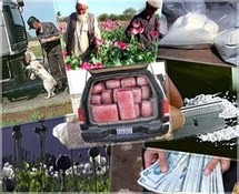 أفغانستان تنتج جميع مشتقات الأفيون الطبيعية تقريبا في العالم أفغانستان تنتج جميع مشتقات الأفيون الطبيعية تقريبا في العالم