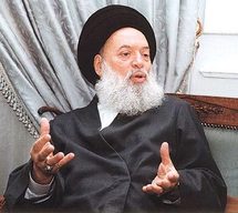 العلامة محمد حسين فضل الله