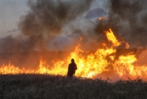 الخارجية السورية : العدوان الاسرائيلي حرب الأصلاء بعد الوكلاء الخارجية السورية : العدوان الاسرائيلي حرب الأصلاء بعد الوكلاء