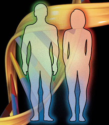 قانون ولاية ماين الأمريكية التي تتبع لها المدينة يؤكد حق المواطنين من الجنسين بالسير عراة الصدر