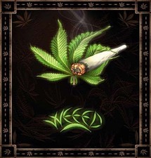 يعتبر القنب مادة مخدرة تستخلص من أوراق شجرة الخشخاش