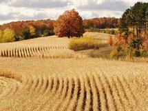 يترواح سعر قضاء الليلة الواحدة بين ثلاثة إلى سبعة يورو