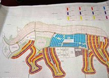 تصميم لإعادة بناء مدينة جوبا على شكل وحيد القرن