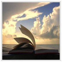 دور النشر المصرية ستشارك في معرض الكتاب في العاصمة الجزائرية دور النشر المصرية ستشارك في معرض الكتاب في العاصمة الجزائرية