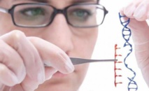 علماء يكتشفون جينات تحفز الإدمان على المخدرات