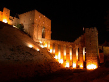 ؟هل سيضع أردوغان يده على مدينة حلب لاعادة ثلاثة ملايين لاجئ