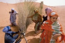 الرمال تزحف على نواكشوط بمعدل ستة كيلومترات سنويا