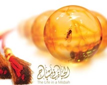 غلاف موسوعة الحياة في مسباح