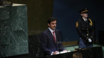 أمير قطر: الحصار أضر بسمعة مجلس التعاون الخليجي أمير قطر: الحصار أضر بسمعة مجلس التعاون الخليجي