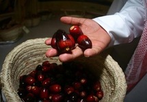 التمور تحظى بمكانة كبيرة في المجتمع السعودي التمور تحظى بمكانة كبيرة في المجتمع السعودي