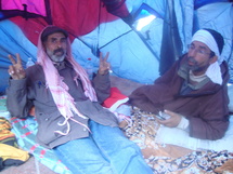 اضراب عن الطعام لحماية الثورة - خاص بالهدهد