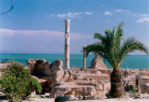 "فتوى" يحصد التانيت الذهبي لأيام قرطاج السينمائية "فتوى" يحصد التانيت الذهبي لأيام قرطاج السينمائية