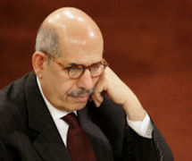 المعارض المصري السابق محمد البراعي المعارض المصري السابق محمد البراعي