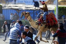 يضم المعرض صورا تجسد مهزلة موقعة الجمل