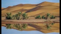 مع احتفالات رأس السنة... جزائريون يكتشفون صحراءهم