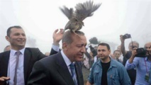 لماذا رفض أردوغان تجريم الدعا.رة في تركيا حتى الآن؟