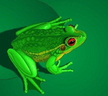 استخدم المتهم مسدس هواء لقتل الضفدع