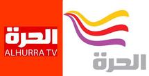 قناة "الحرة" تلتقي الشباب المصري لمعرفة رأيهم في مستقبل الثورة