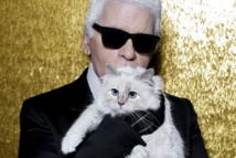 قطة لاجرفيلد تنعيه على انستجرام وتلمح إلى استكمال مسيرتها المهنية قطة لاجرفيلد تنعيه على انستجرام وتلمح إلى استكمال مسيرتها المهنية