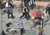 احالة 25 متهما في "موقعة الجمل" الى القضاء