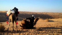 رحلة فوق ظهور الإبل عبر صحراء "بني وهيبة" العُمانية