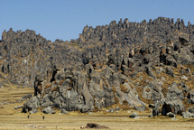 هوايلاي .. غابة متحجرة تناطح السحاب من قمم الأنديز البيروانية