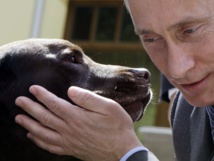 بوتين لايران وما حولها: نحن غير قادرين على إنقاذ الجميع