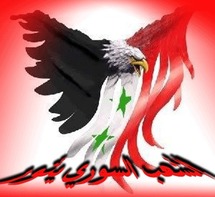 رغم الموافقة على الورقة العربية..النظام السوري يواصل حملته الشرسة ضد المتظاهرين