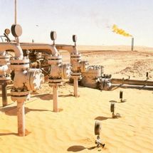 الدول المصدرة للغاز تدعو في قمتها الاولى الى اسعار عادلة  