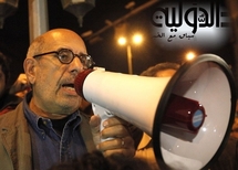 محمد البرادعي في الميدان