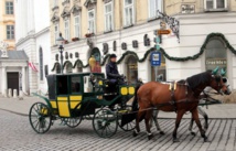 العربات التي تجرها الخيول تقاوم الحداثة في النمسا