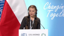 الناشطة السويدية المدافعة عن قضية المناخ تتظاهر خارج البيت الأبيض