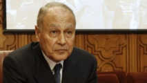 احمد ابو الغيط