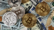 ارتفاع جماعي للعملات الرقمية المشفرة أمام الدولار الأمريكي