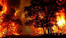 إعلان حالة الطوارئ بولاية أسترالية بسبب خطر حرائق الغابات