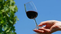 التغيرات المناخية تؤثر على صناعة الخمور فى أوروبا