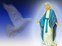 كنائس مسيحية تندد بمصير الفلسطينيين المسيحيين تحت الاحتلال الاسرائيلي