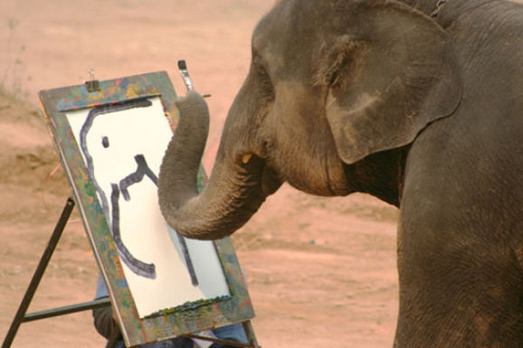 لوحات ترسمها الحيوانات تثير تساؤلات بشأن طبيعة الفن