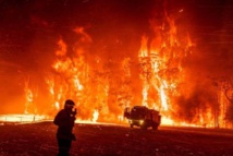 أستراليا.. استدعاء الجيش للمساعدة في مكافحة الحرائق أستراليا.. استدعاء الجيش للمساعدة في مكافحة الحرائق