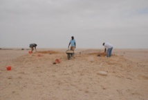 متاحف قطر تستكشف طبيعة السكان بالمنطقة قبل التاريخ متاحف قطر تستكشف طبيعة السكان بالمنطقة قبل التاريخ