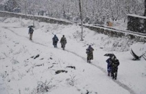 عاصفة شتوية قوية تقتل خمسة أشخاص على الأقل في أوروبا عاصفة شتوية قوية تقتل خمسة أشخاص على الأقل في أوروبا