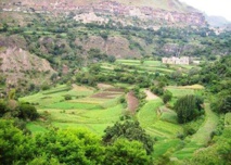 بعيدا عن أوجاع الحرب... مبادرة شبابية تبرز للعالم جمال اليمن