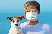 اصابة الحيوانات بكورونا قد تكون ميزة لاختبار اللقاحات
