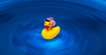 الشورى السعودي يدرس سن نظام لمحاسبة "المدونين" المسيئين للإسلام الشورى السعودي يدرس سن نظام لمحاسبة "المدونين" المسيئين للإسلام