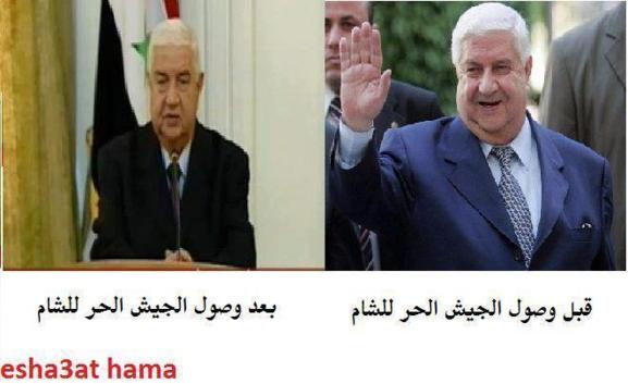 المعلم من طهران :  النظام سيقضي على المعارضة المسلحة في حلب