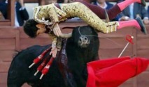 الكوارث الاقتصادية تعمق أزمة " صناعة مصارعة الثيران "  في إسبانيا